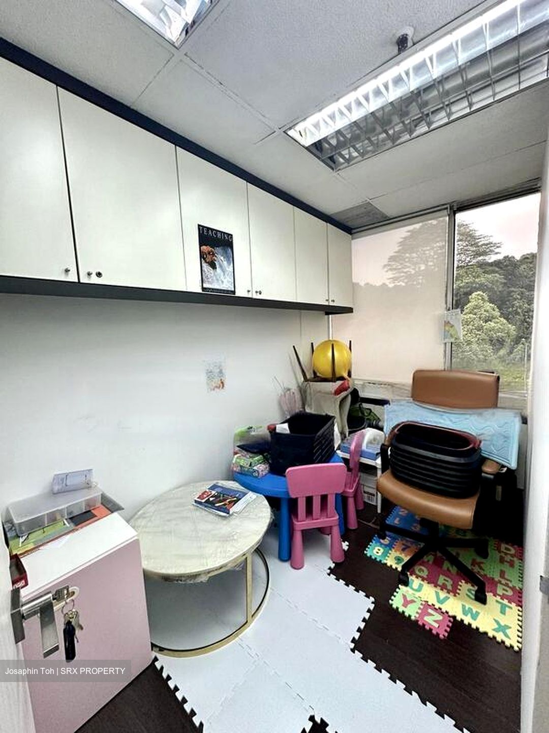 Bukit Timah Shopping Centre (D21), Shop House #476317671